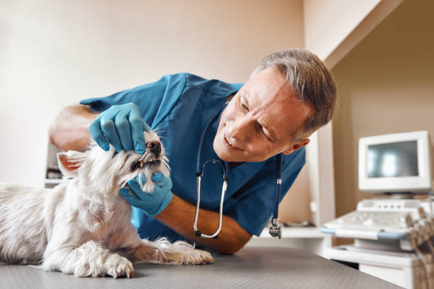 Best Emergency Dental Care for Trauma or Injury in Olmos Park, TX